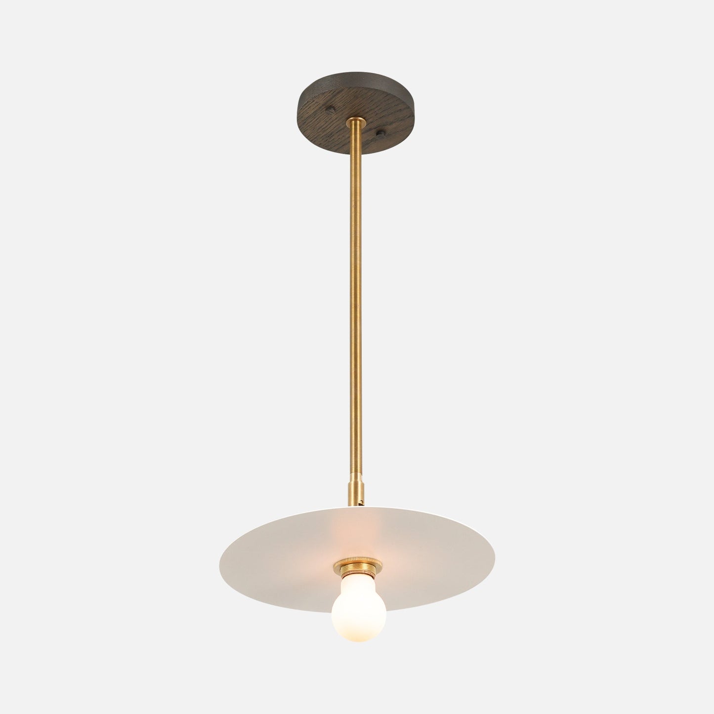 Galileo Pendant 10"
