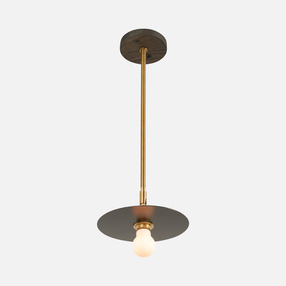Galileo Pendant 8"